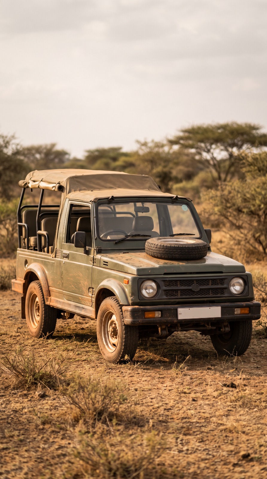 Safari