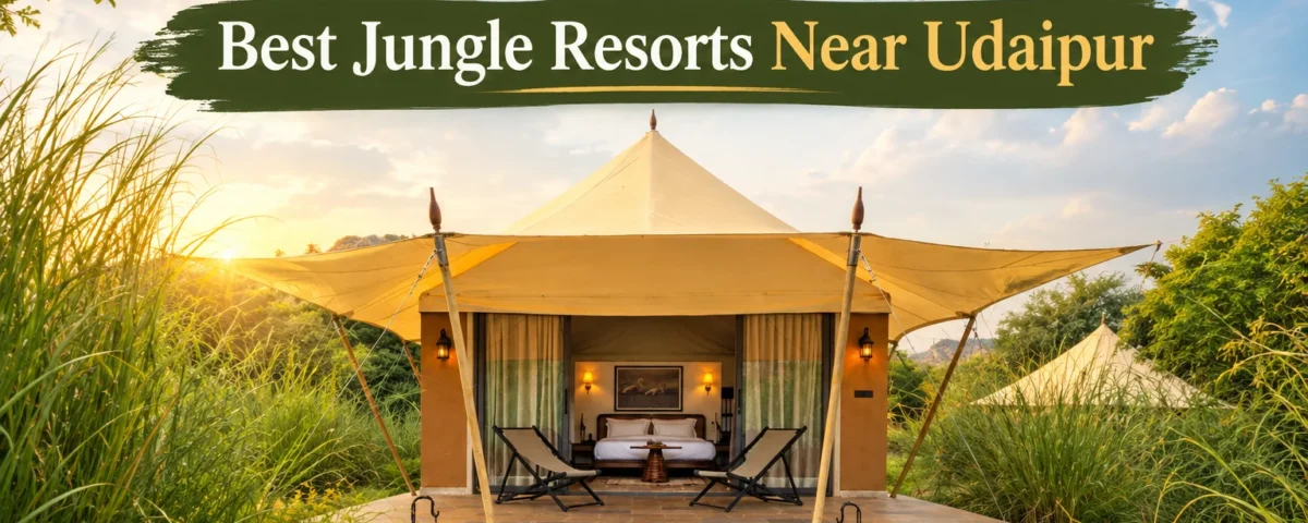 Best Jungle Resorts Near Udaipur