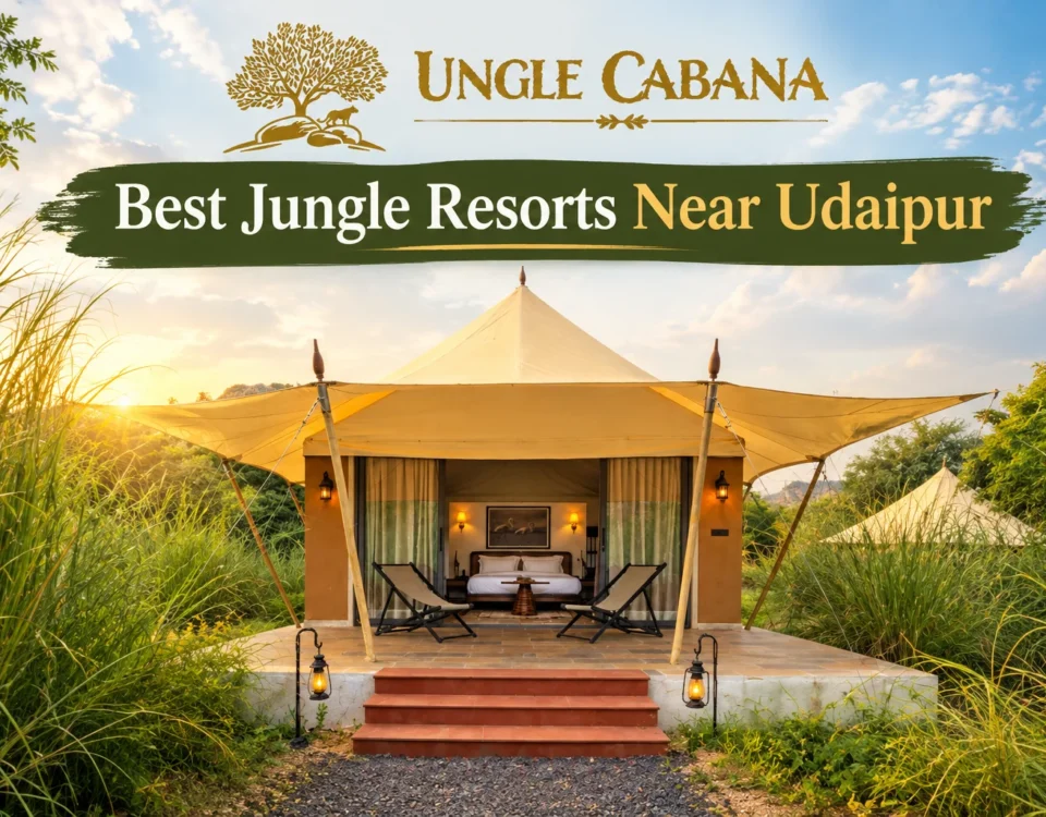 Best Jungle Resorts Near Udaipur