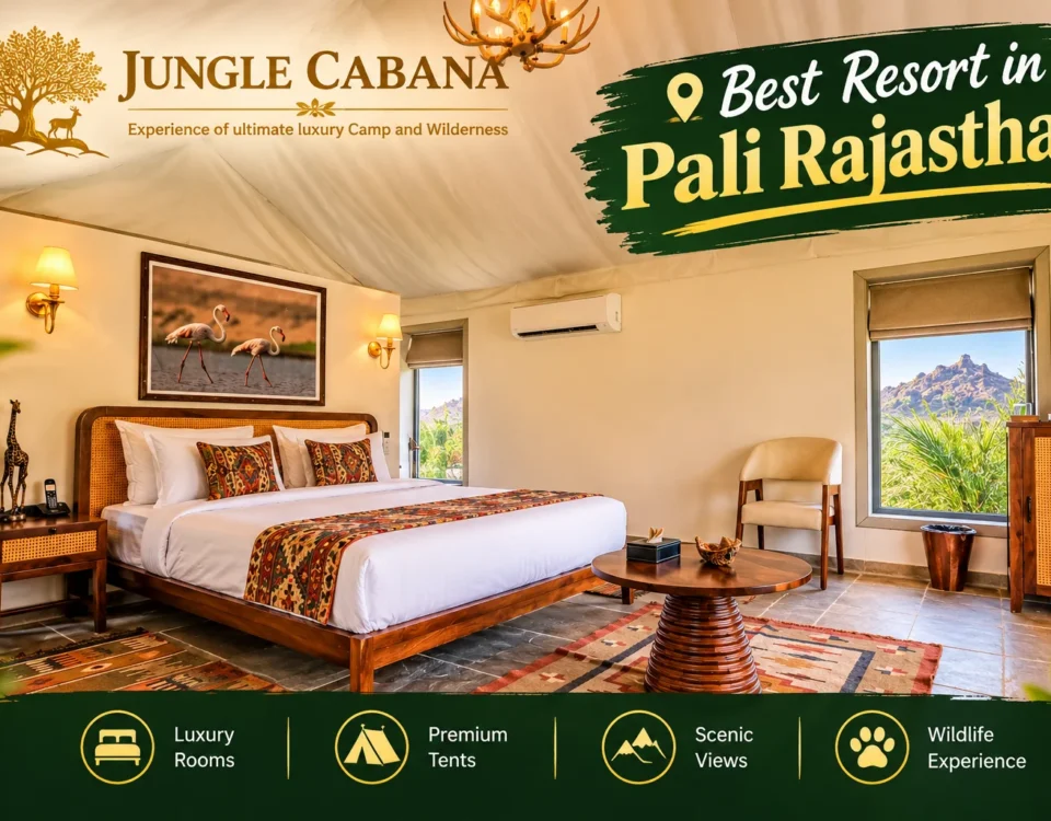 Best Resort in Pali Rajasthan