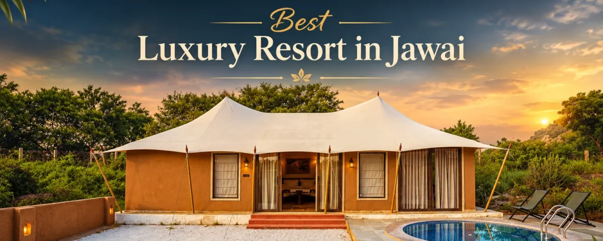 Best luxury resort in jawai