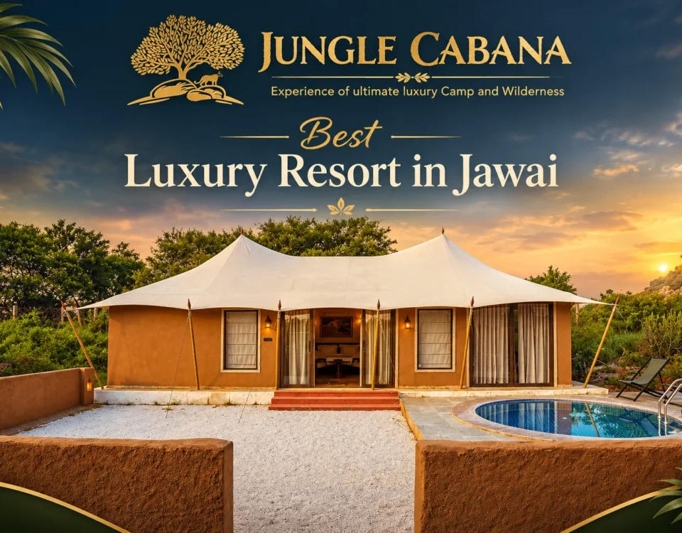 Best luxury resort in jawai
