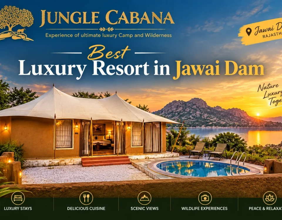 Best luxury resort in jawai Dam