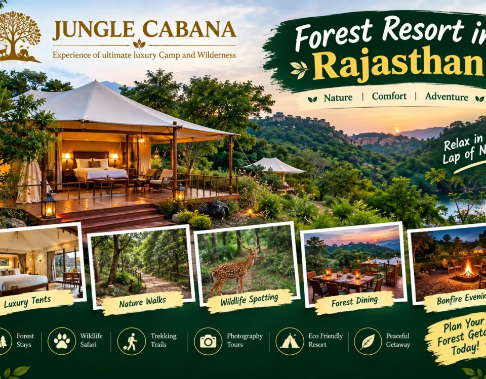 Forest Resort in Rajasthan