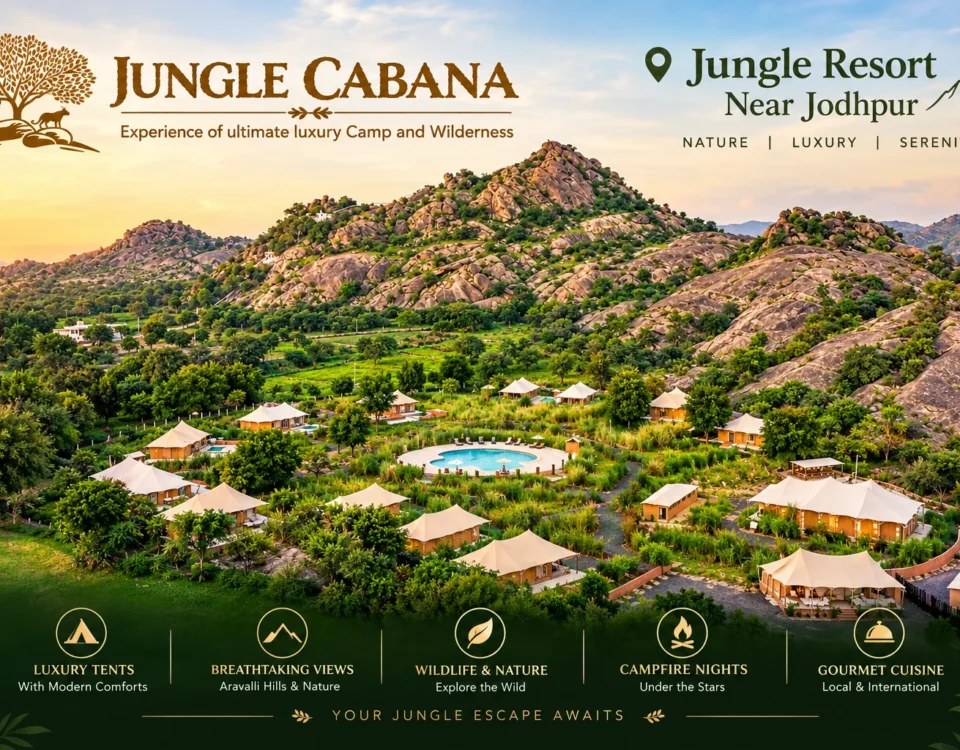 Jungle Resort Near Jodhpur