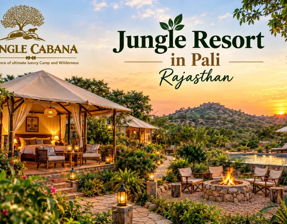 Jungle Resort in Pali Rajasthan