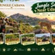 Jungle Safari Near Udaipur