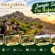 Jungle Safari in Rajasthan
