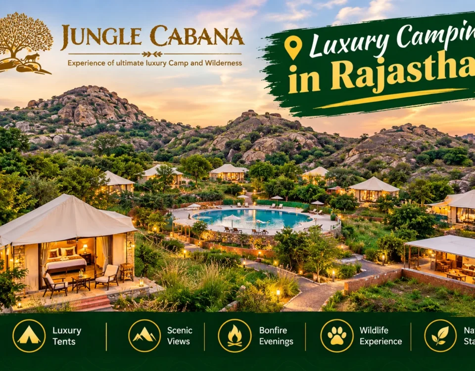 Luxury Camping in Rajasthan