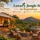 Luxury Jungle Stay in Rajasthan