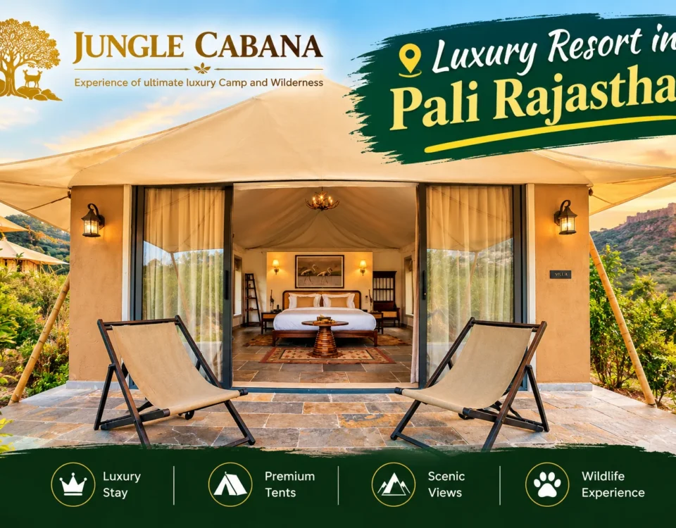 Luxury Resort in Pali Rajasthan