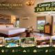 Luxury Stay in Pali Rajasthan