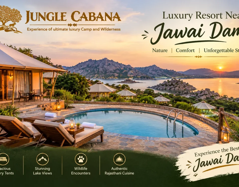Luxury resort in near jawai dam