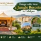 Things to Do Near Jungle Resorts in Udaipur