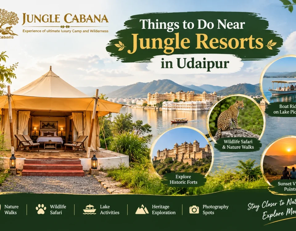 Things to Do Near Jungle Resorts in Udaipur