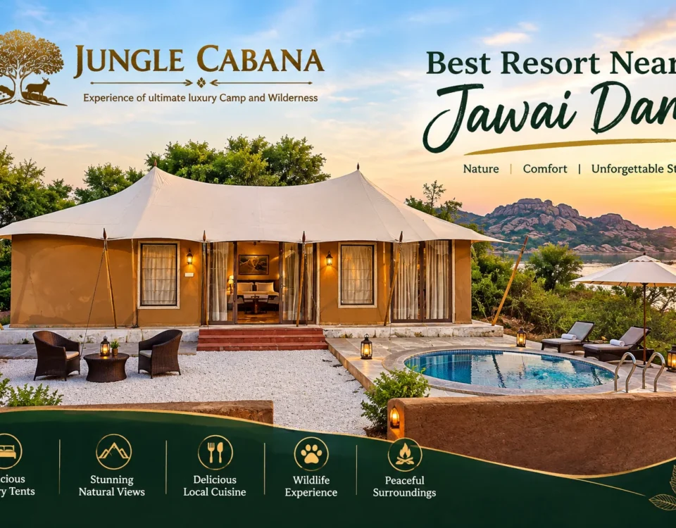 best resort near jawai dam