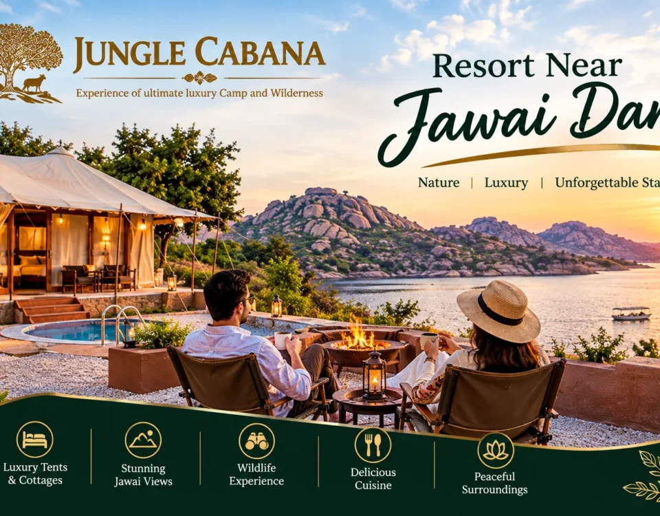 resort near jawai dam