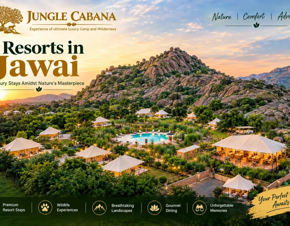 resorts in jawai