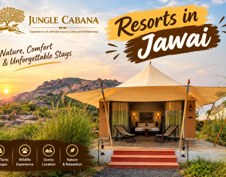 resorts in jawai
